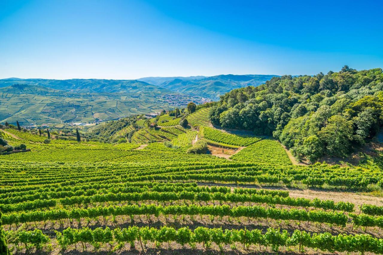 比索达雷加Quinta De Santa Julia别墅 外观 照片