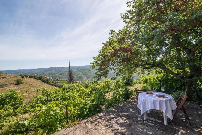 比索达雷加Quinta De Santa Julia别墅 外观 照片