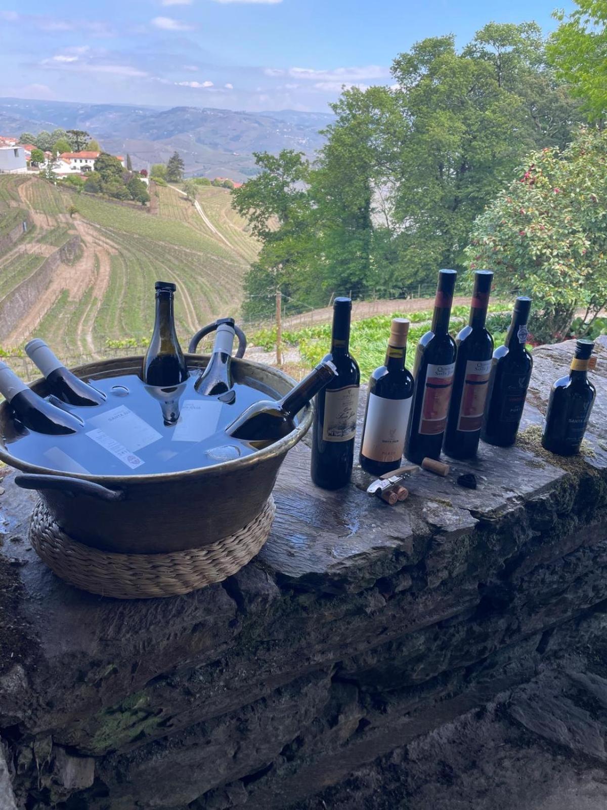 比索达雷加Quinta De Santa Julia别墅 外观 照片